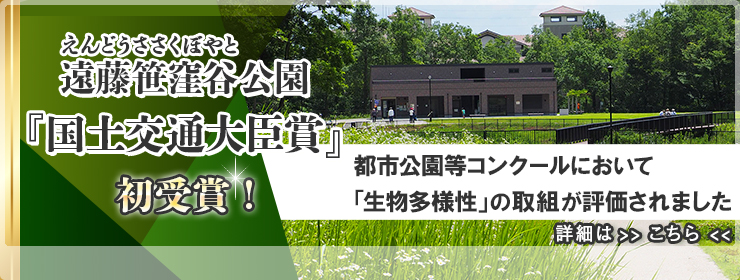 20241030遠藤笹窪谷公園国土交通大臣賞初受賞