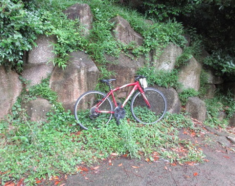 捨てられている自転車